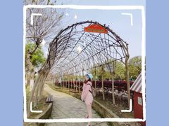 -武汉紫薇都市田园