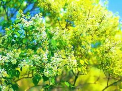 -哈尔滨师范大学(松北校区)