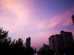 -中关村茶点