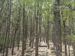 -云龙山