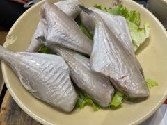 大侠耗儿鱼-蜀大侠火锅(建设路第五大道店)