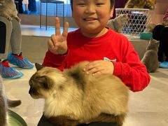 -猫儿山۰猫主题餐厅
