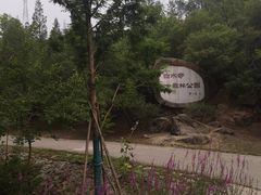 -白水寺森林公园