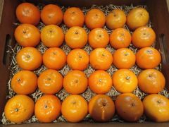 -云海肴云南菜(花园城店)