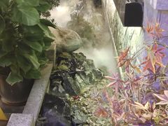 -首秀·四川料理(星耀101店)