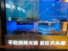 -大头椰·椰子鸡火锅(南宁万象城店)