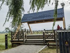 -野鸭湖国家湿地公园