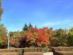 -长春世界雕塑园冰雪艺术天地