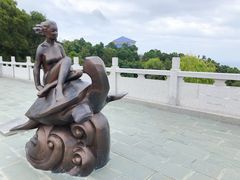 -广东惠东海龟国家级自然保护区