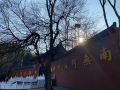 -冶父山国家森林公园