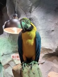 -Zoolung Zoolung动物主题公园(海信广场店)