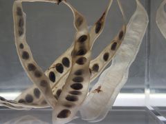 -上海当代艺术博物馆