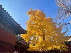 -承恩寺