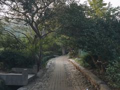 -雨花胜境