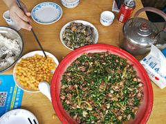 -东吴霸王兔(松青路店)