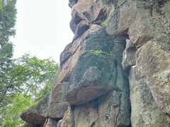 -汤旺河林海奇石景区