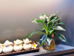 -栖SPA·ONDA ·海菲秀·皑皑科技美肤中心