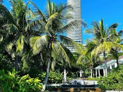 -瑰丽酒店·海吧·天际下午茶·现场DJ·天台酒吧