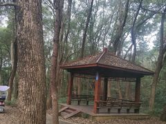 -青龙山国家森林公园