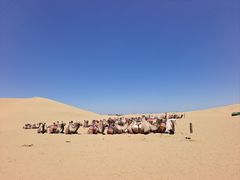 -银肯塔拉沙漠生态旅游景区