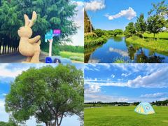 -上海山野camping·户外天幕烧烤·团建拓展营地