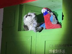 -屋有岛沉浸游戏旗舰店(中山公园店)
