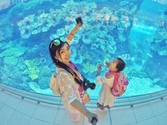 -迪拜水族馆及水下动物园