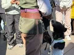 -波塞冬旅游度假区