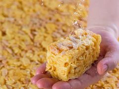 -广州白天鹅宾馆