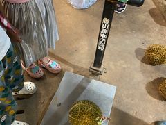 -三亚新鸿港水果一级批发市场