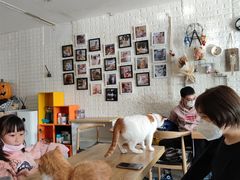 -平行世界·猫咖(首经贸店)