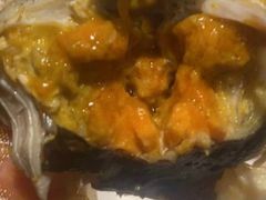 -杨氏青龙虾·羊蝎子(金盛路总店)