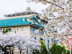 -武汉大学-樱园
