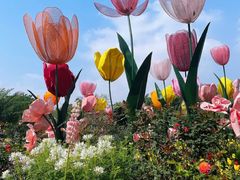 -四里河滨水生态公园