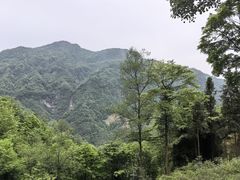 -秦岭风景区