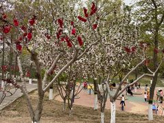 -大兴滨河森林公园