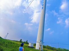 -黄海国家森林公园