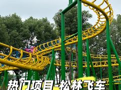 -南湖梦幻岛
