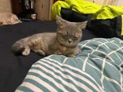 -爱宠屋pet shop·宠物洗澡·宠物美容