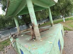 -秦皇岛野生动物园