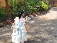 -奥兰多迪士尼动物王国乐园