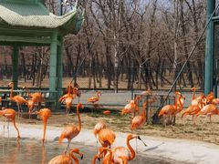 -秦皇岛野生动物园