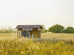 -良渚古城遗址公园