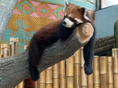 -石家庄市动物园