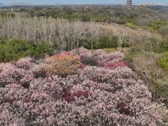 -蜀冈西峰生态公园