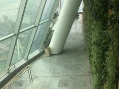 -WFC会仙楼观景台