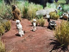 -陕西自然博物馆