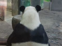 -柳州市动物园