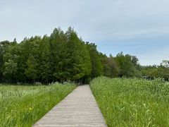 -溱湖国家湿地公园