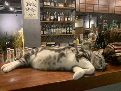 -咖法森林·咖啡  酒吧(天河店)